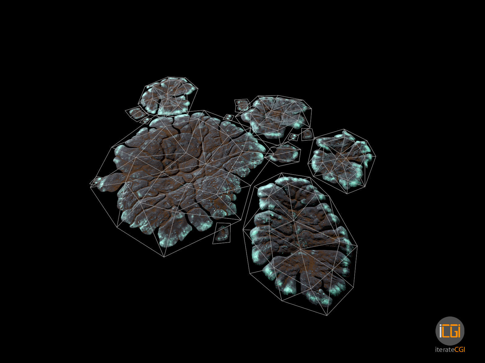 Alien Plant Lichen Type1 Low-poly 3D model_2