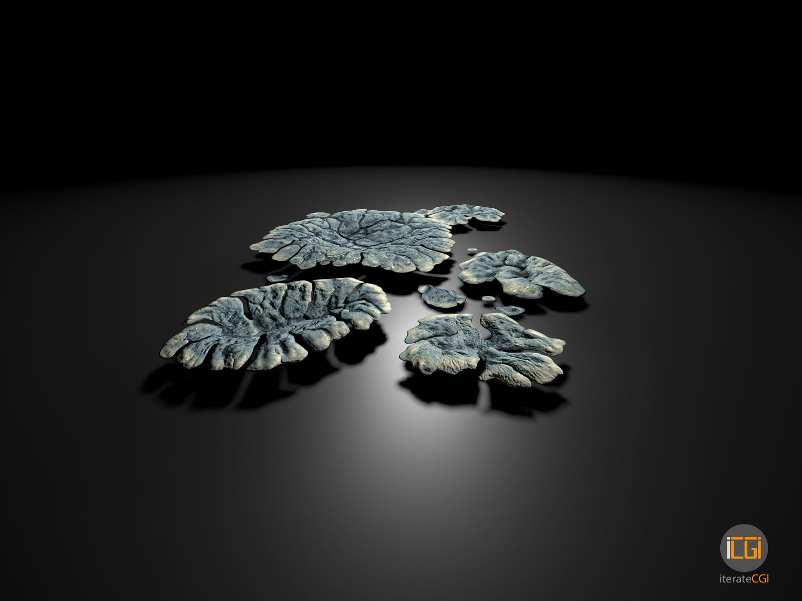 Alien Plant Lichen Type1 Low-poly 3D model_10