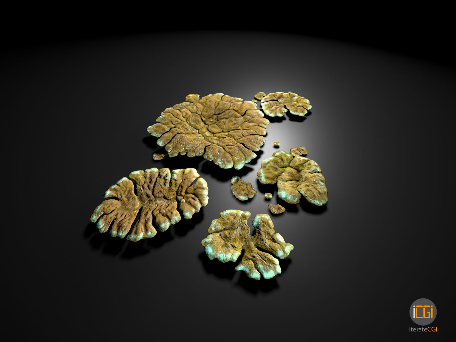 Alien Plant Lichen Type1 Low-poly 3D model_11