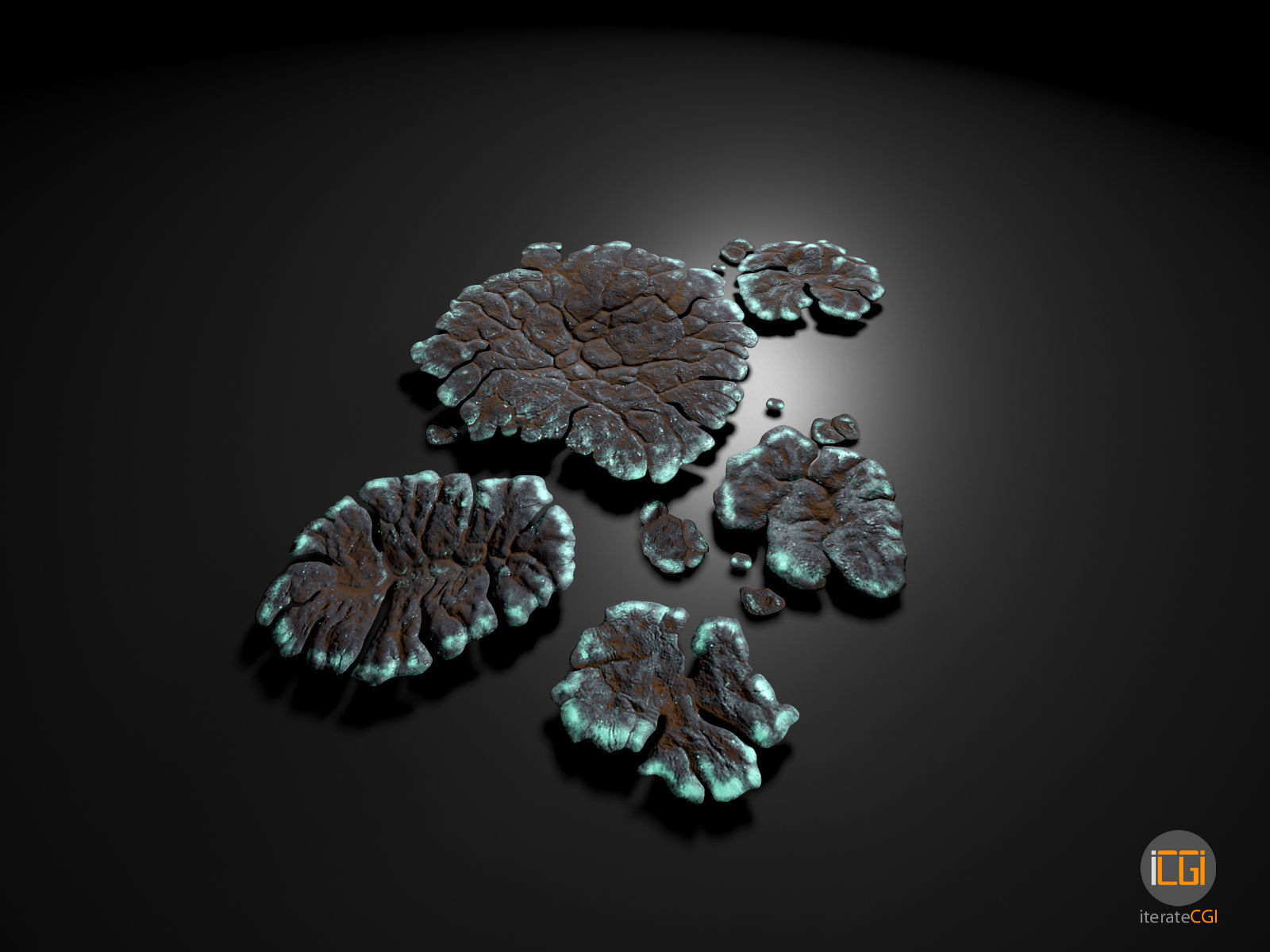 Alien Plant Lichen Type1 Low-poly 3D model_3