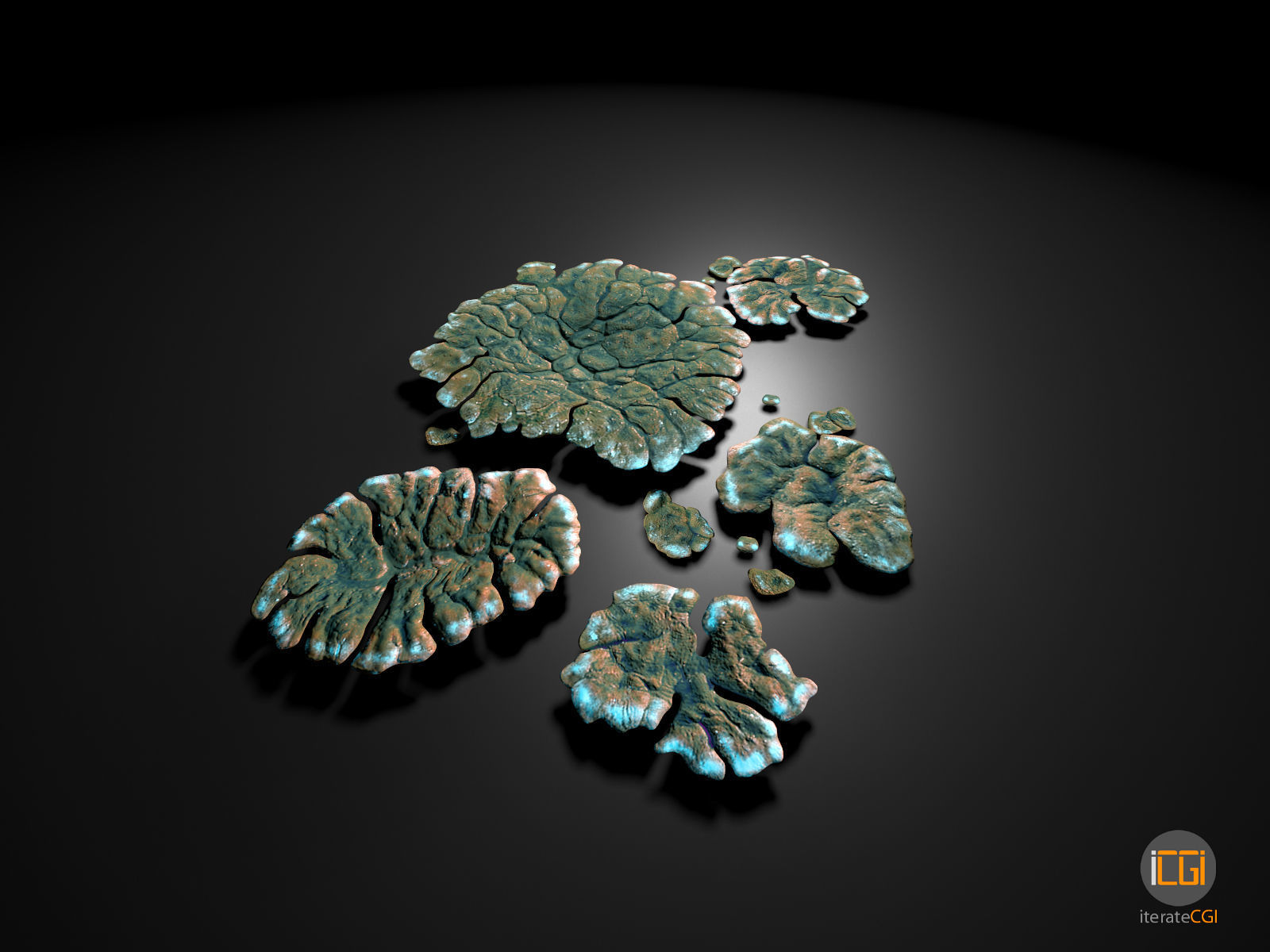 Alien Plant Lichen Type1 Low-poly 3D model_12