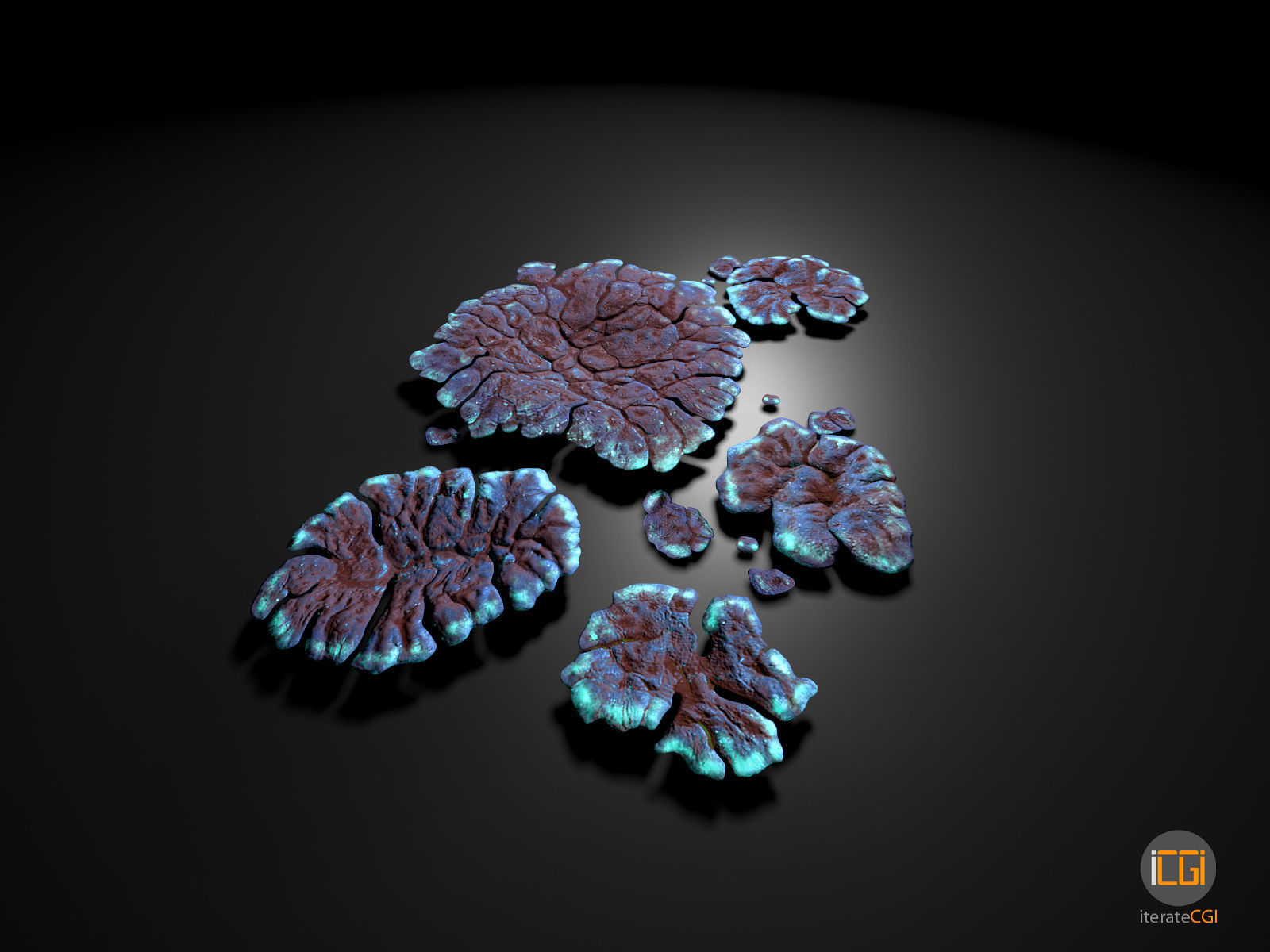 Alien Plant Lichen Type1 Low-poly 3D model_13