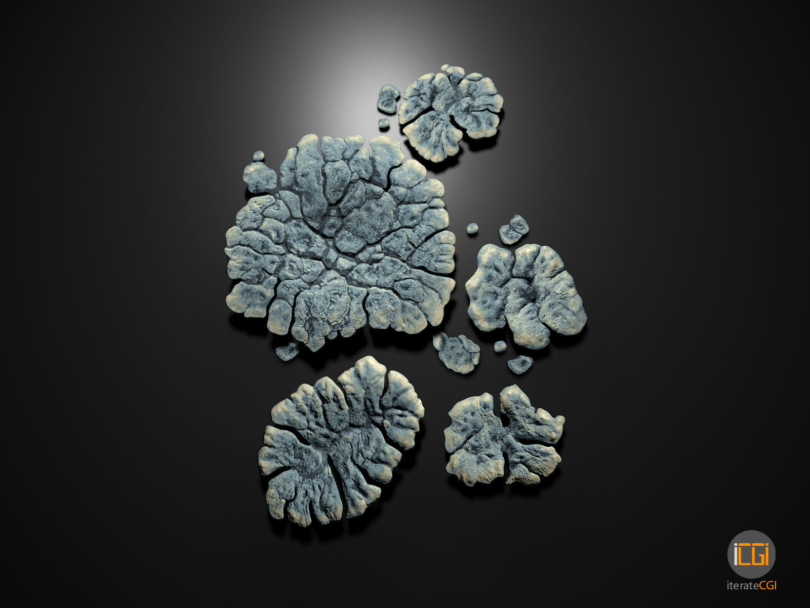 Alien Plant Lichen Type1 Low-poly 3D model_8