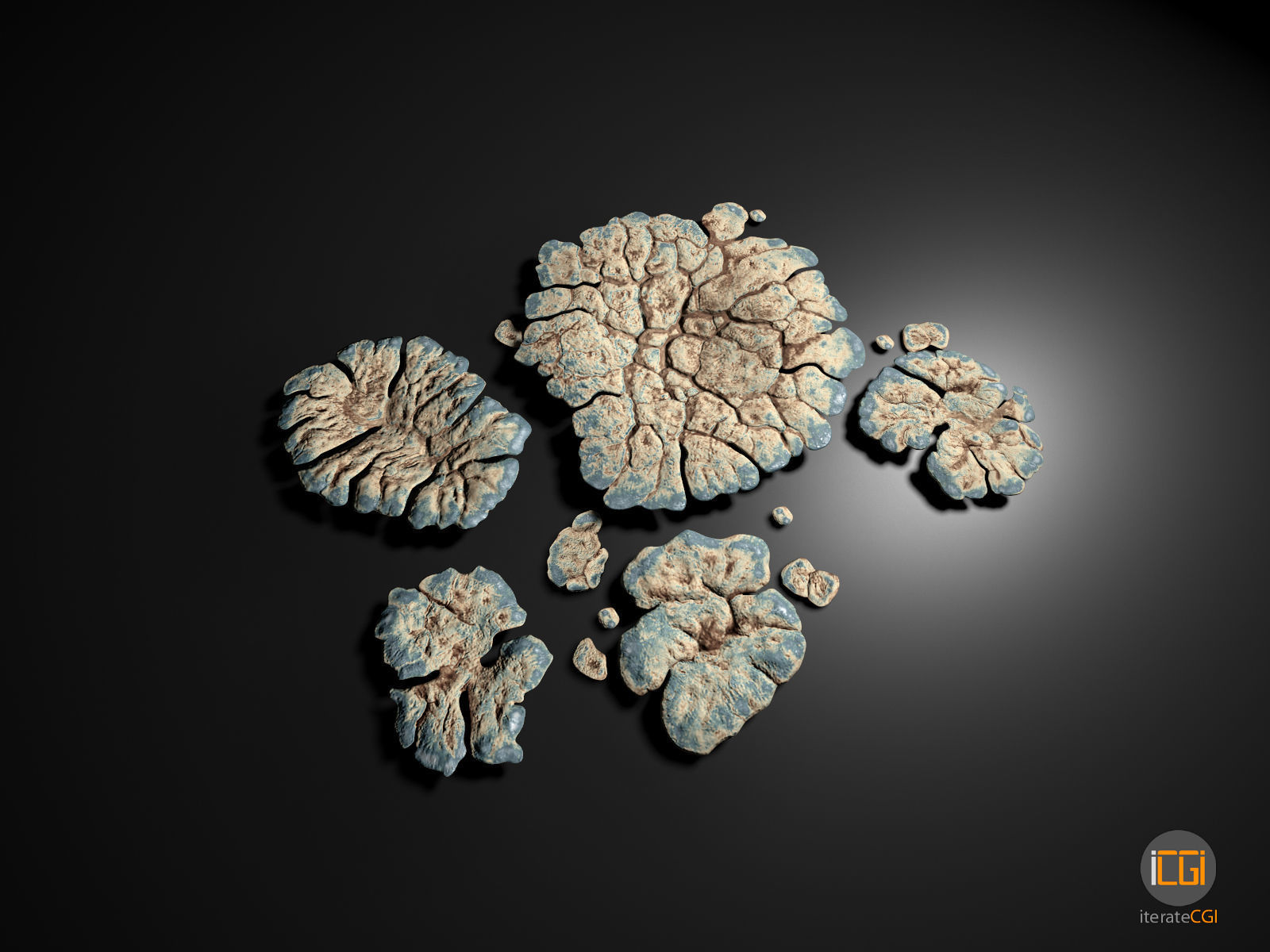 Alien Plant Lichen Type1 Low-poly 3D model_6