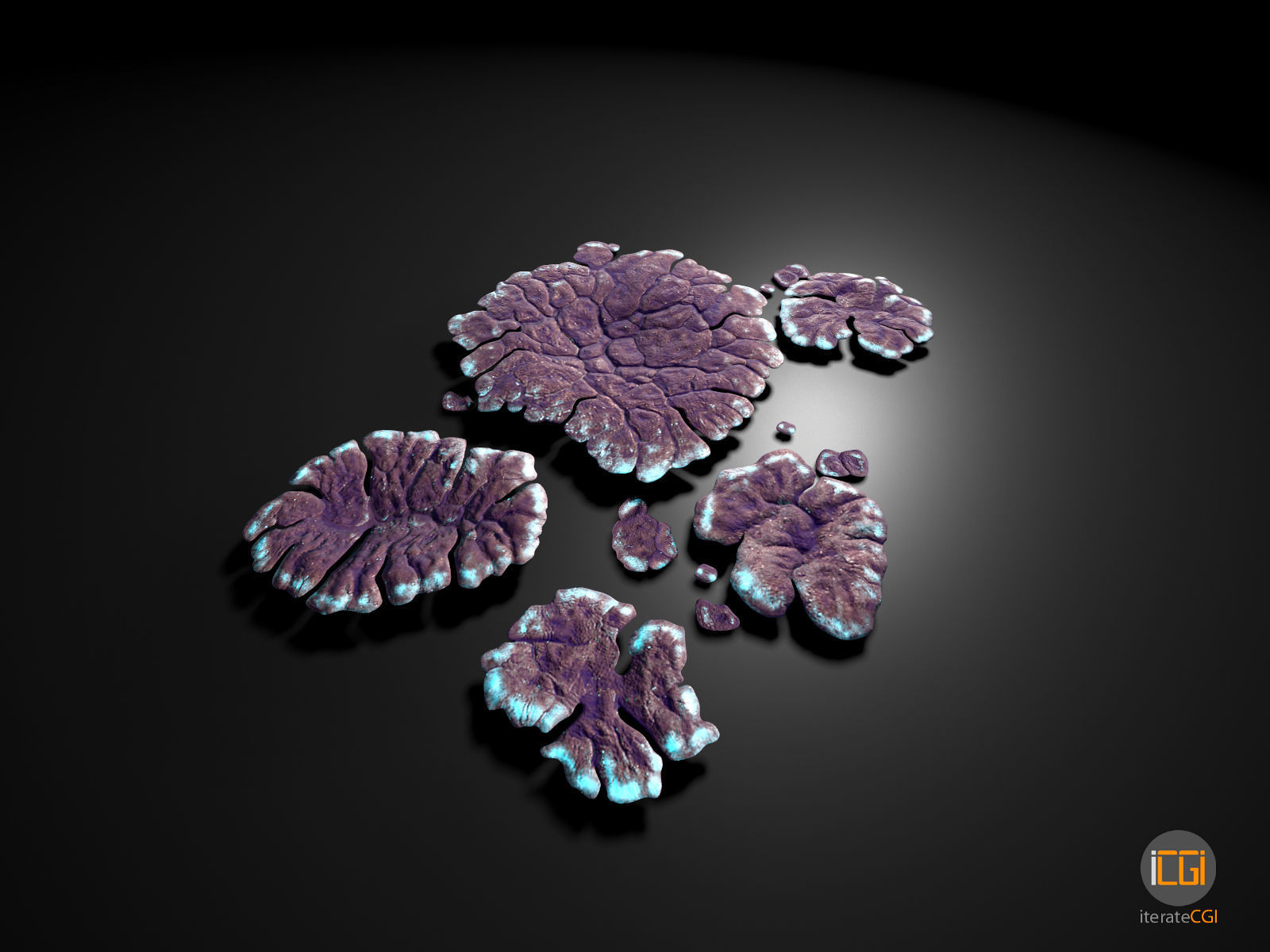Alien Plant Lichen Type1 Low-poly 3D model_15
