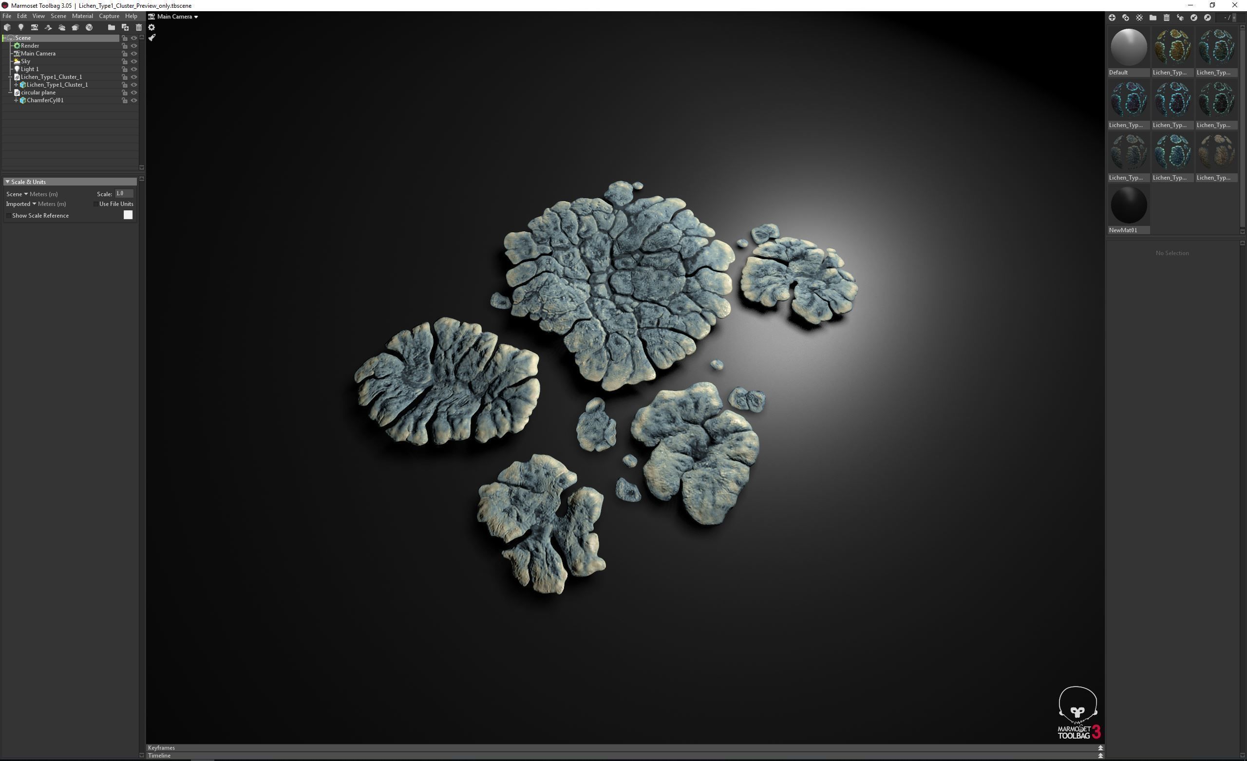 Alien Plant Lichen Type1 Low-poly 3D model_19