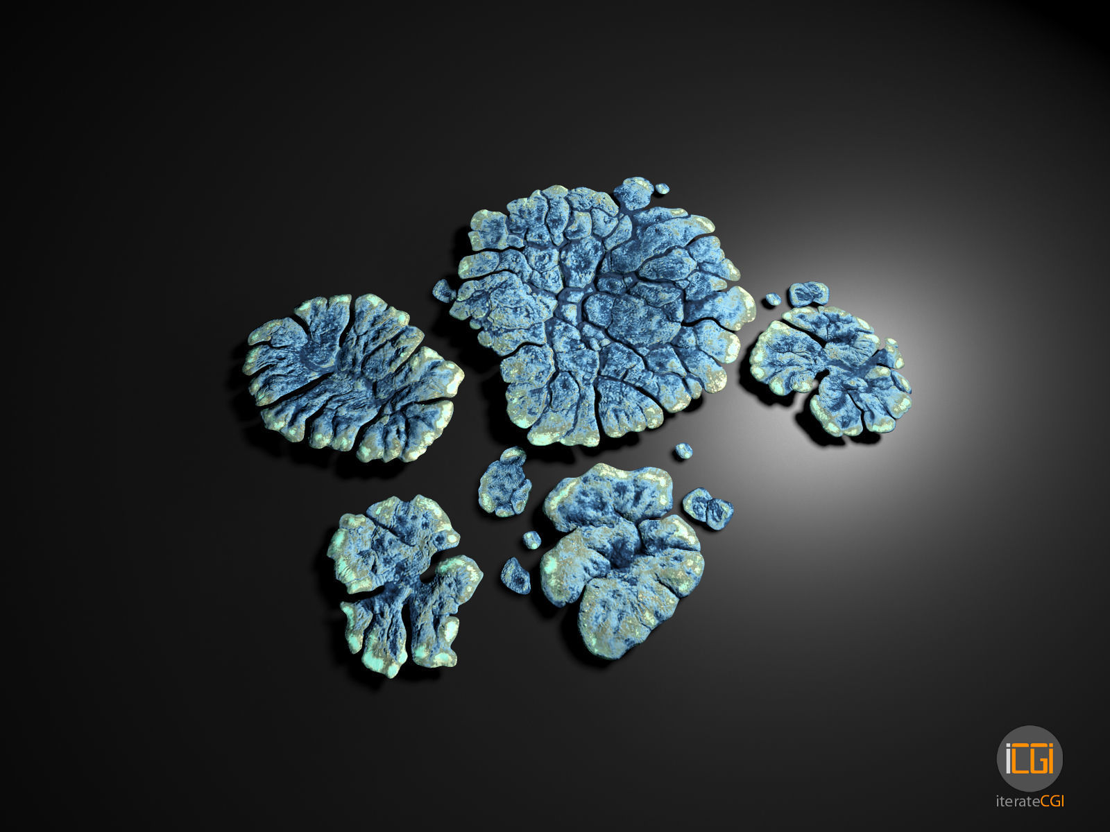 Alien Plant Lichen Type1 Low-poly 3D model_5