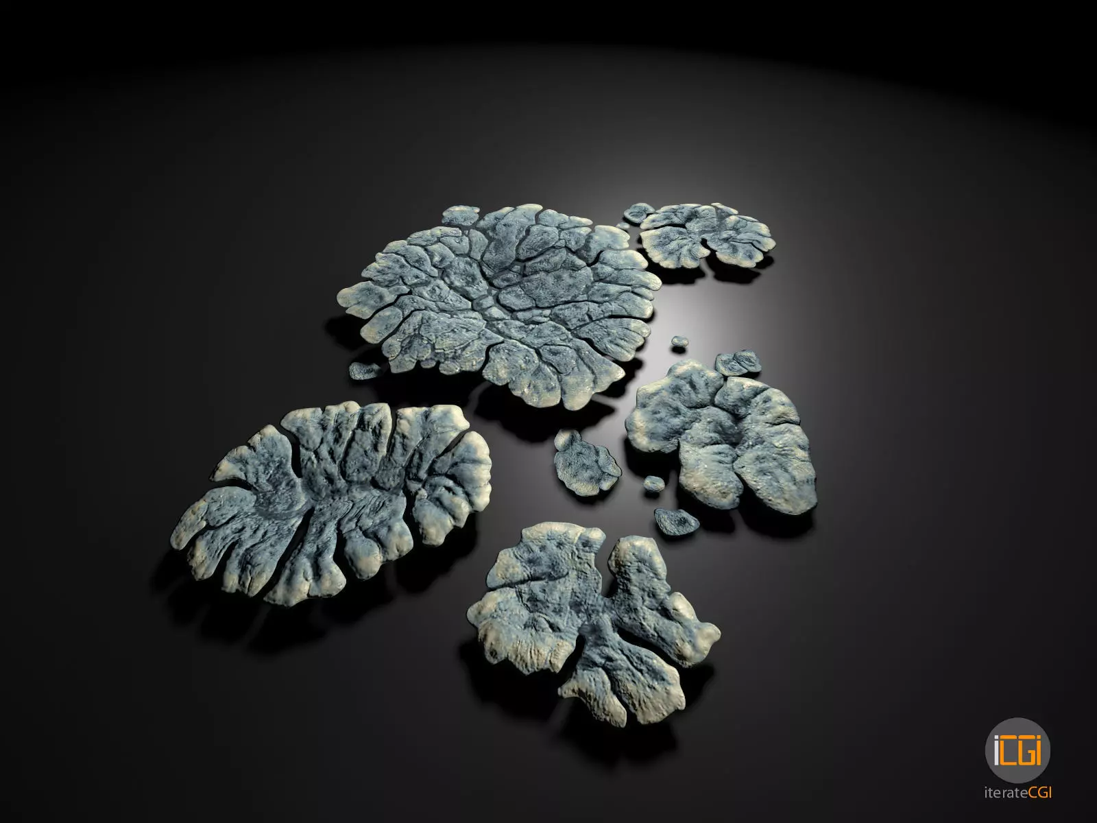 Alien Plant Lichen Type1 Low-poly 3D model_0