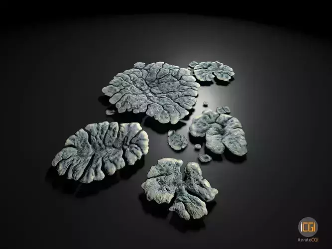 Alien Plant Lichen Type1 Low-poly 3D model