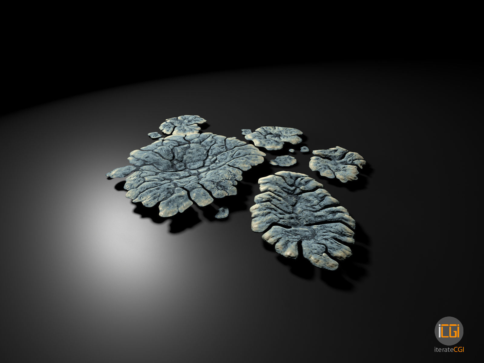 Alien Plant Lichen Type1 Low-poly 3D model_9
