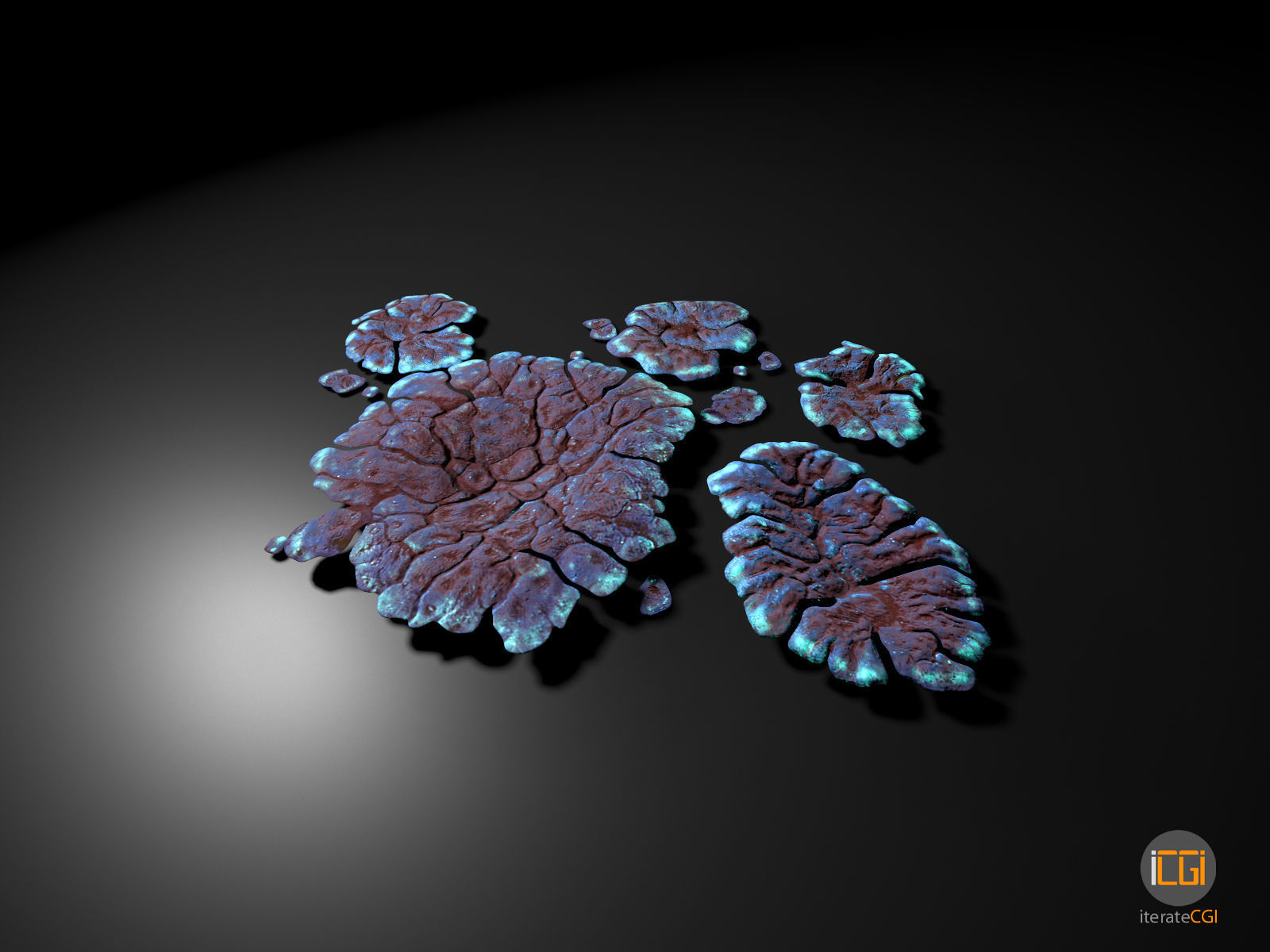 Alien Plant Lichen Type1 Low-poly 3D model_14