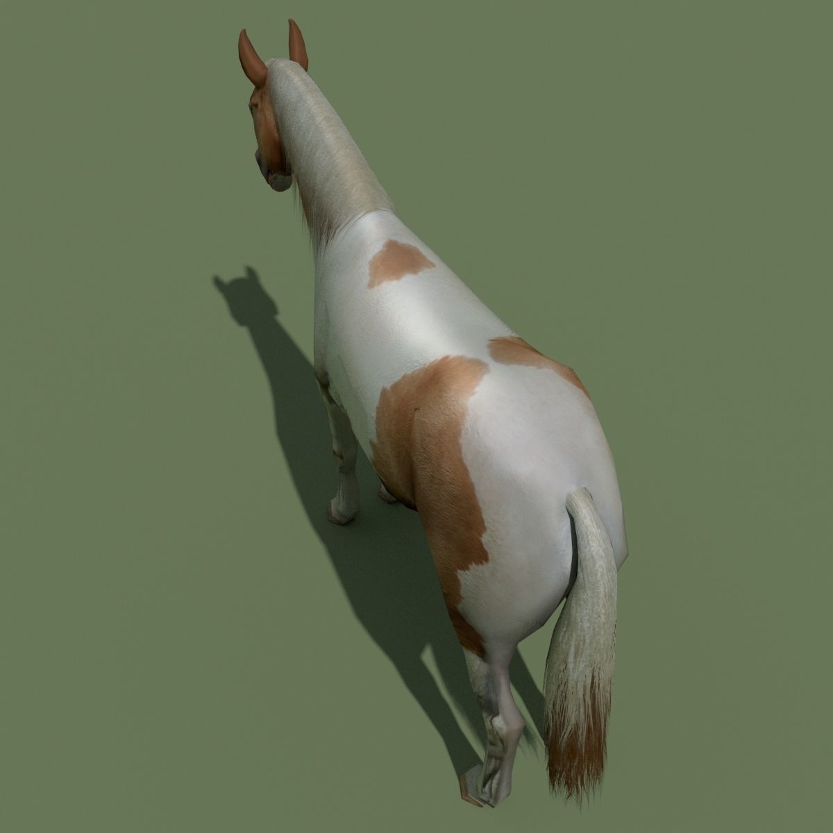 LowPoly Horses 10 colours Low-poly 3D model_86