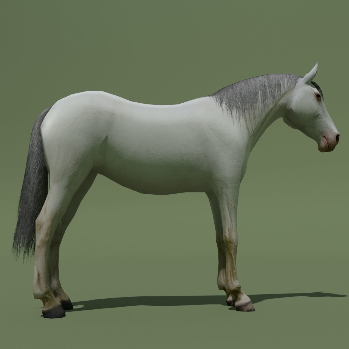 LowPoly Horses 10 colours Low-poly 3D model_67