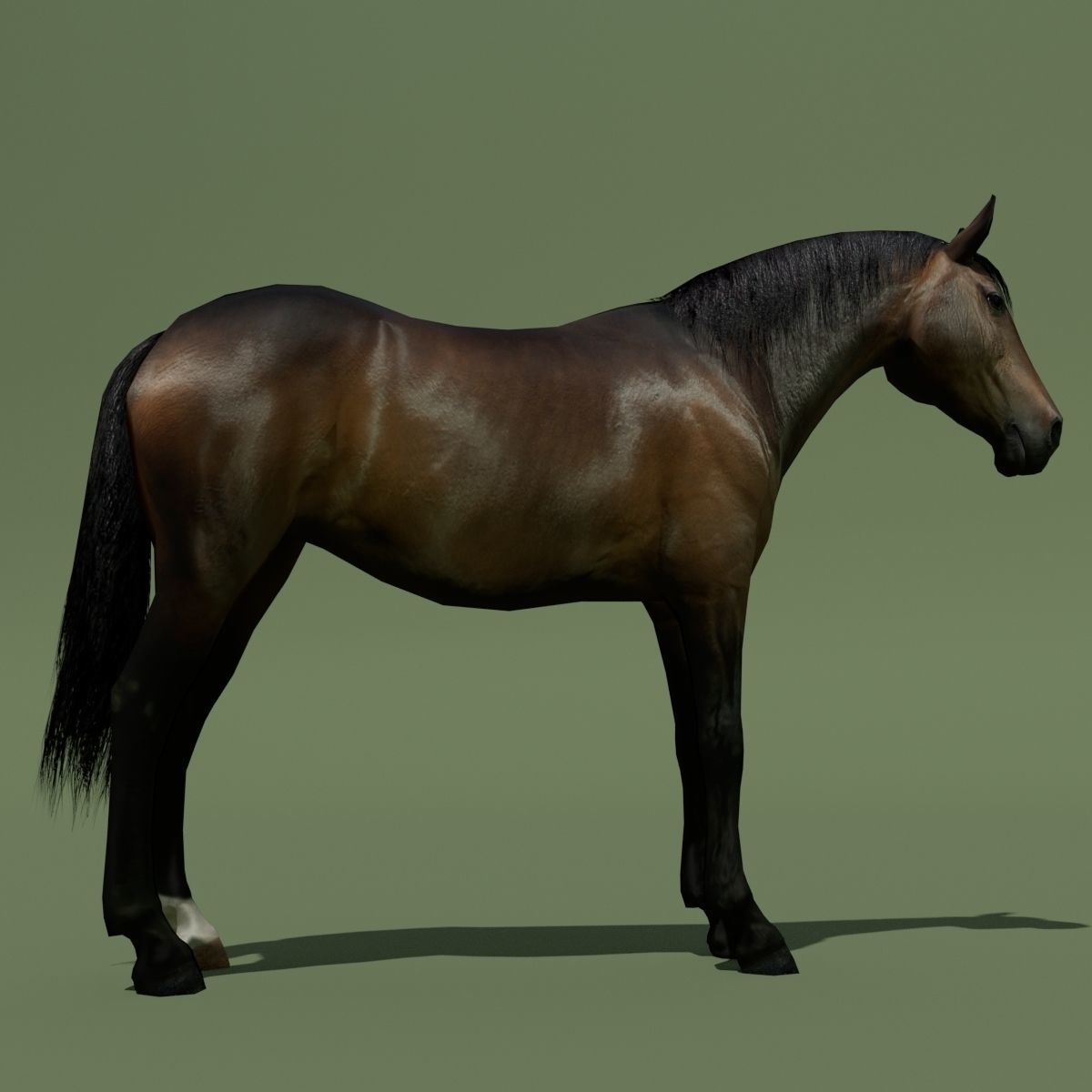 LowPoly Horses 10 colours Low-poly 3D model_32