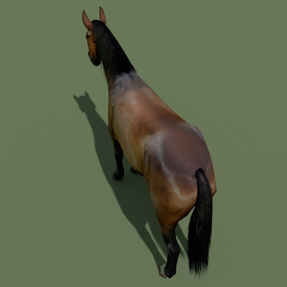 LowPoly Horses 10 colours Low-poly 3D model_23