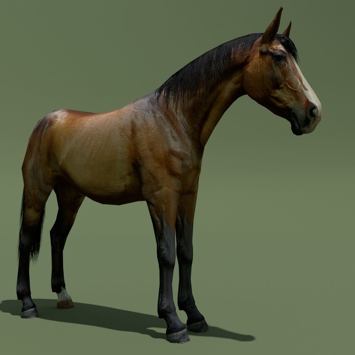 LowPoly Horses 10 colours Low-poly 3D model_26