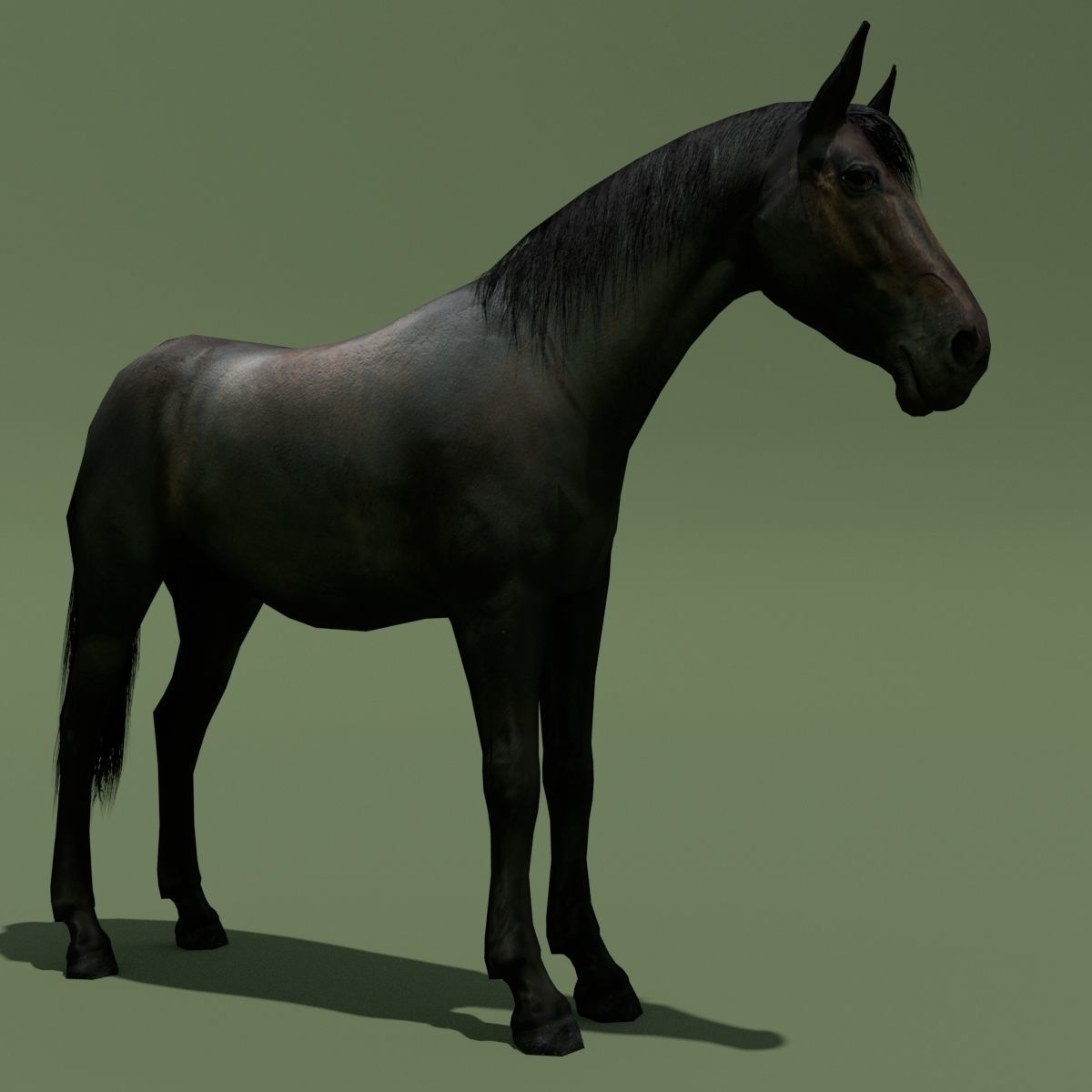 LowPoly Horses 10 colours Low-poly 3D model_47