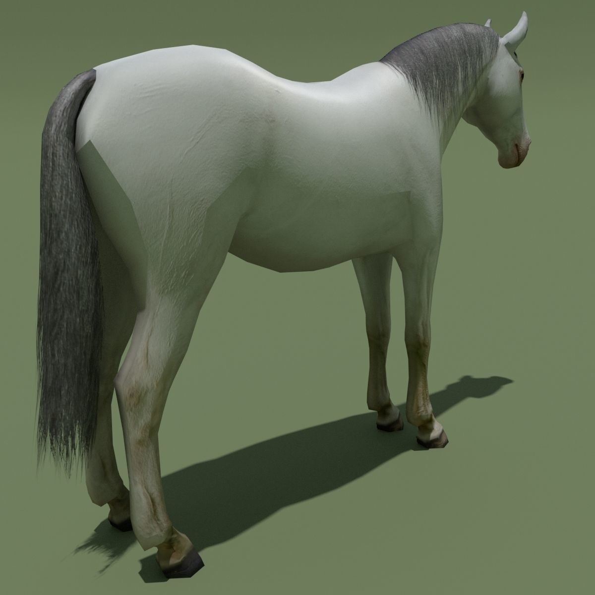 LowPoly Horses 10 colours Low-poly 3D model_66