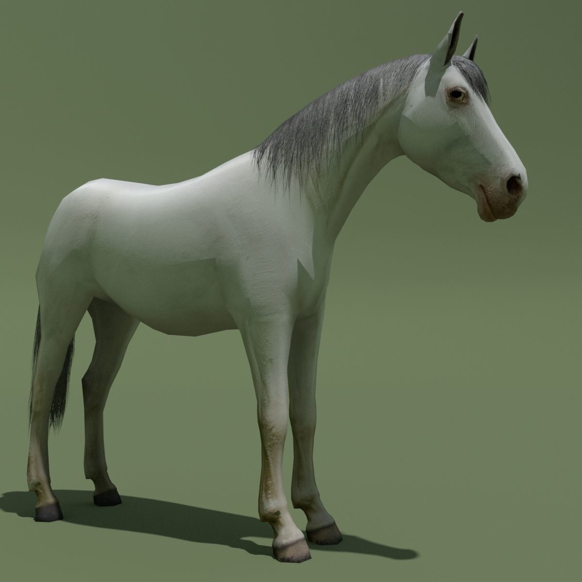 LowPoly Horses 10 colours Low-poly 3D model_68