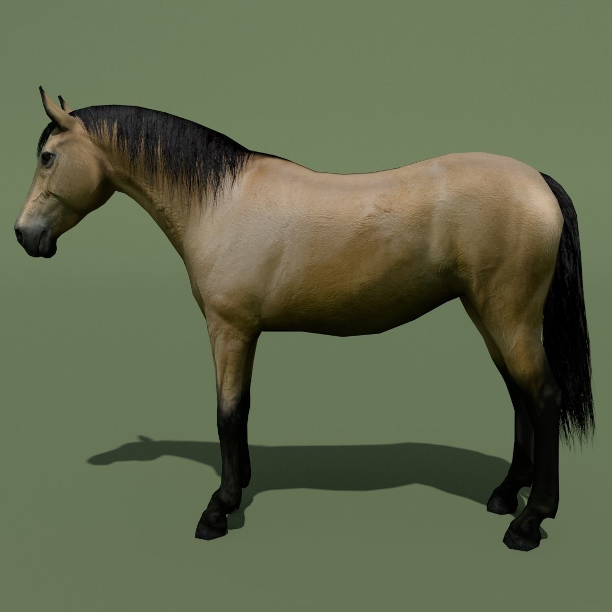 LowPoly Horses 10 colours Low-poly 3D model_56