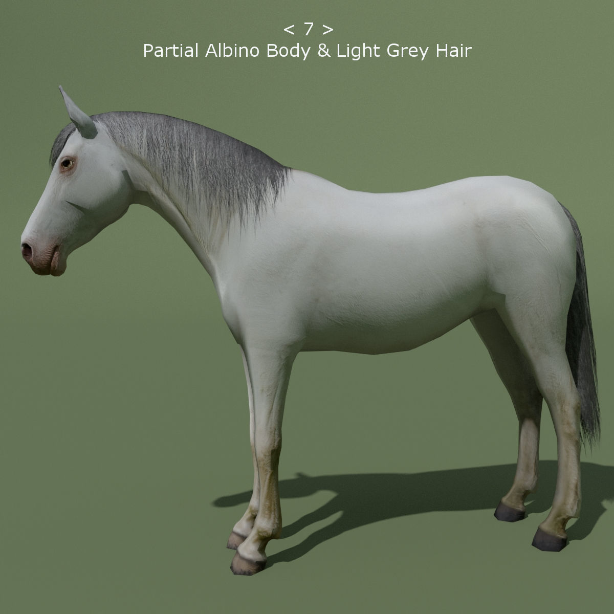 LowPoly Horses 10 colours Low-poly 3D model_7