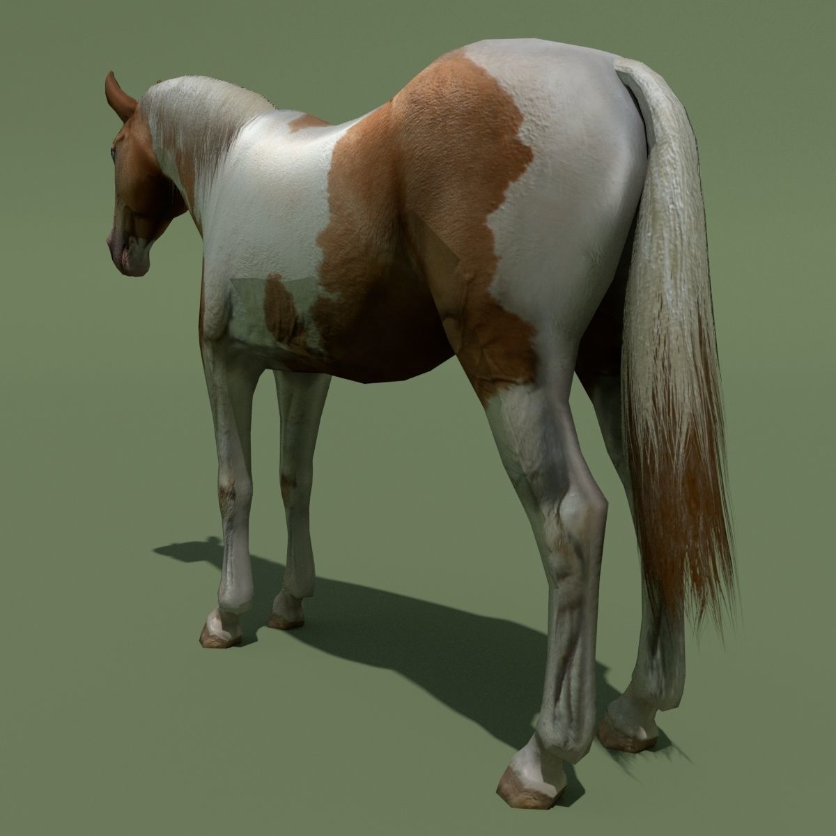 LowPoly Horses 10 colours Low-poly 3D model_85