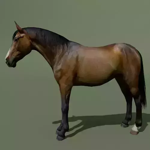 LowPoly Horses 10 colours Low-poly 3D model