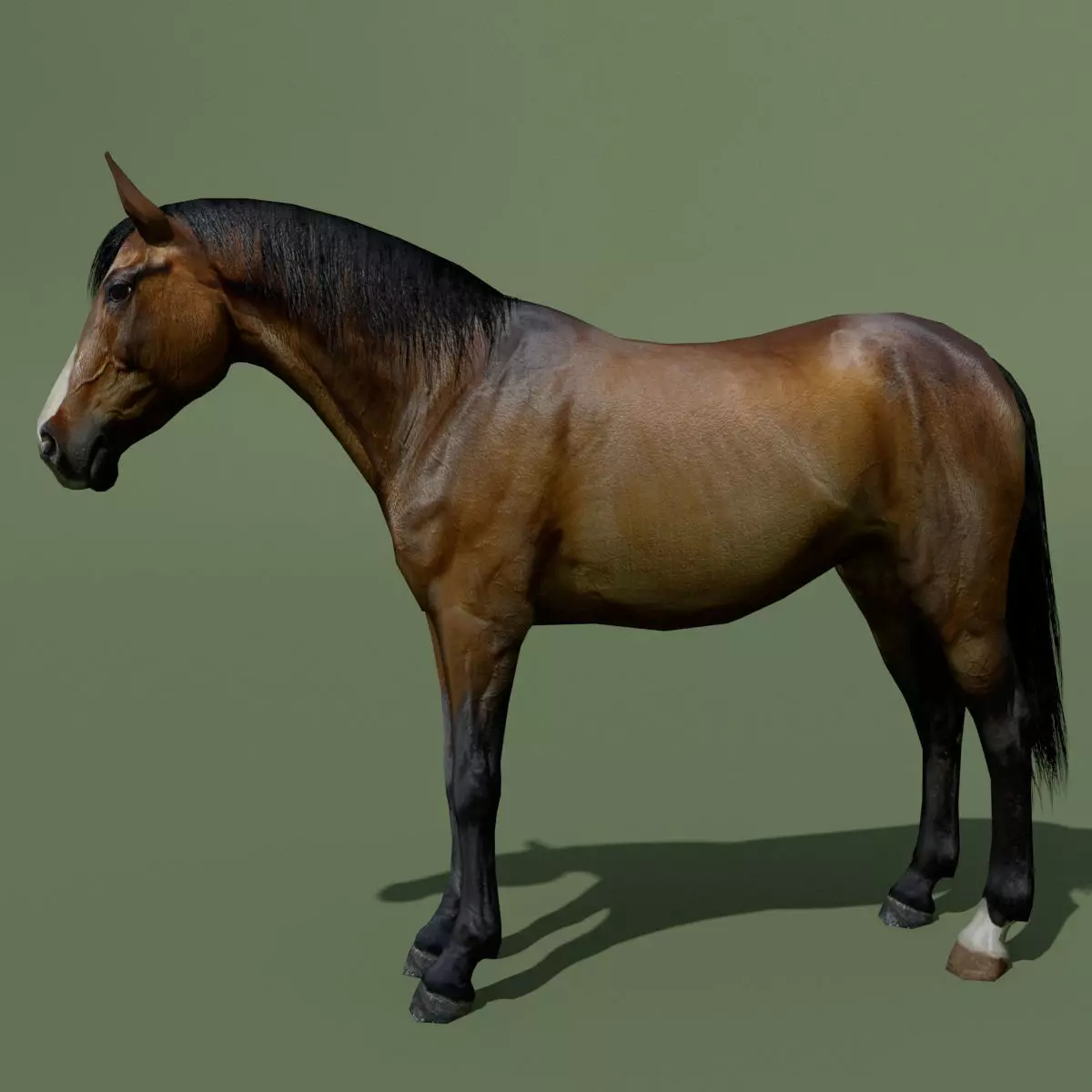 LowPoly Horses 10 colours Low-poly 3D model_0