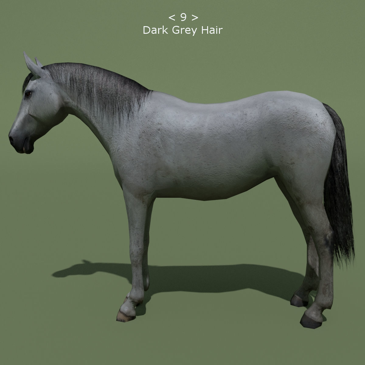 LowPoly Horses 10 colours Low-poly 3D model_20