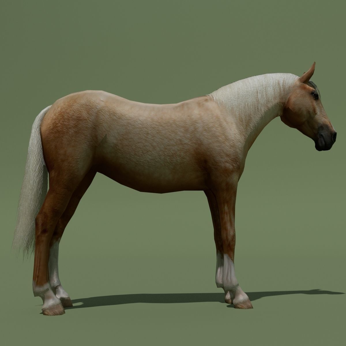 LowPoly Horses 10 colours Low-poly 3D model_81