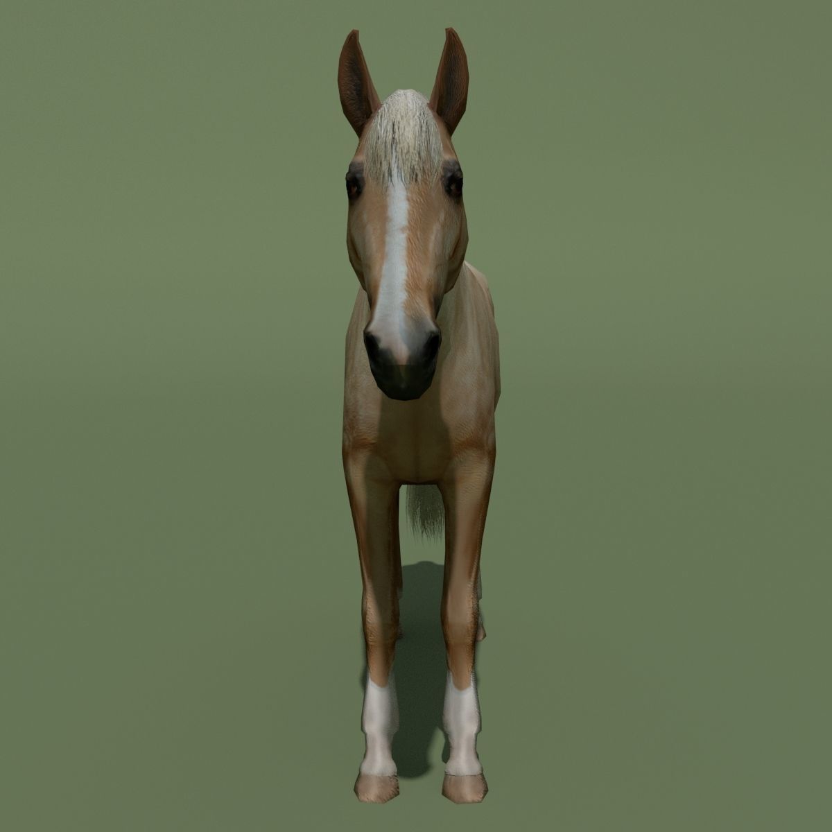 LowPoly Horses 10 colours Low-poly 3D model_83