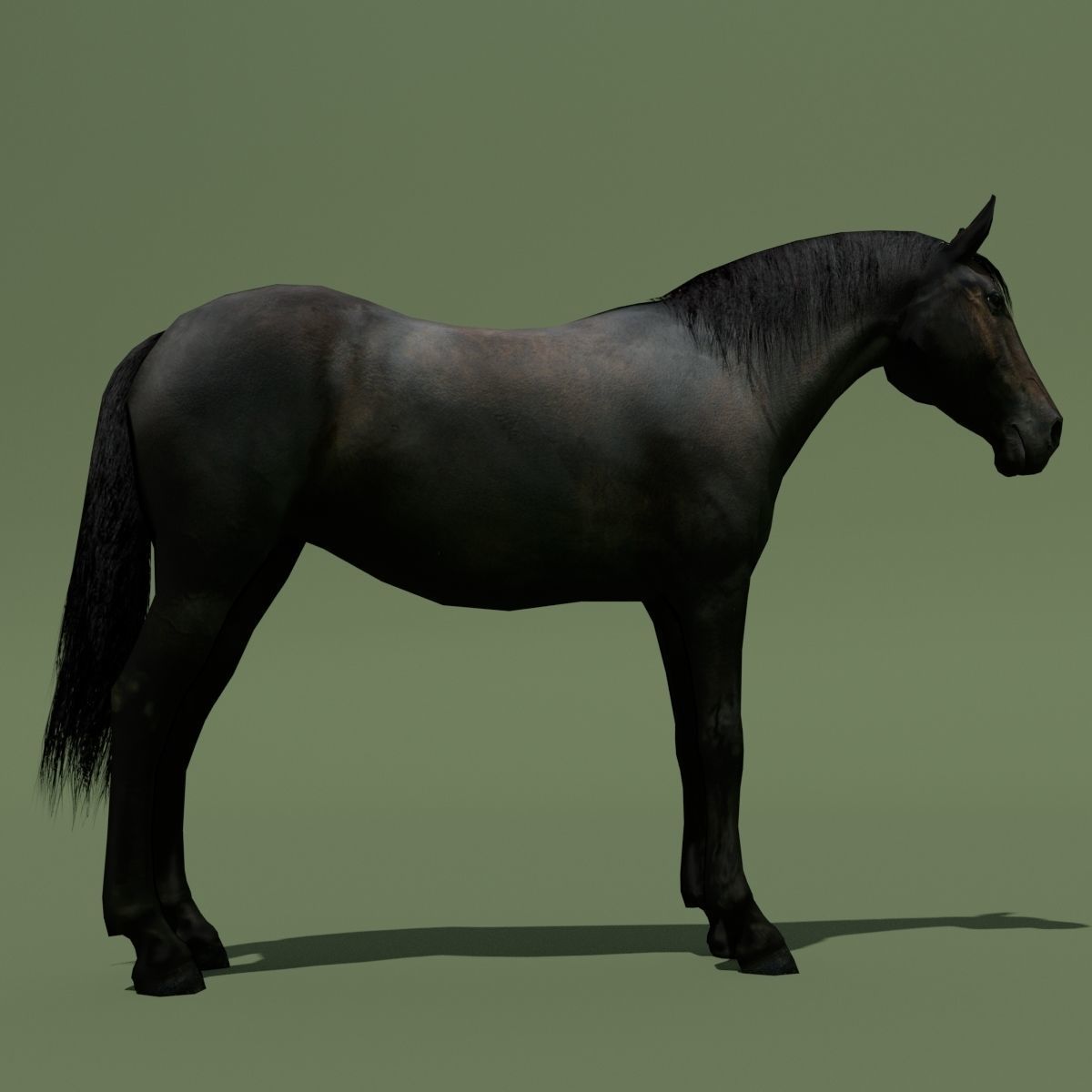 LowPoly Horses 10 colours Low-poly 3D model_46