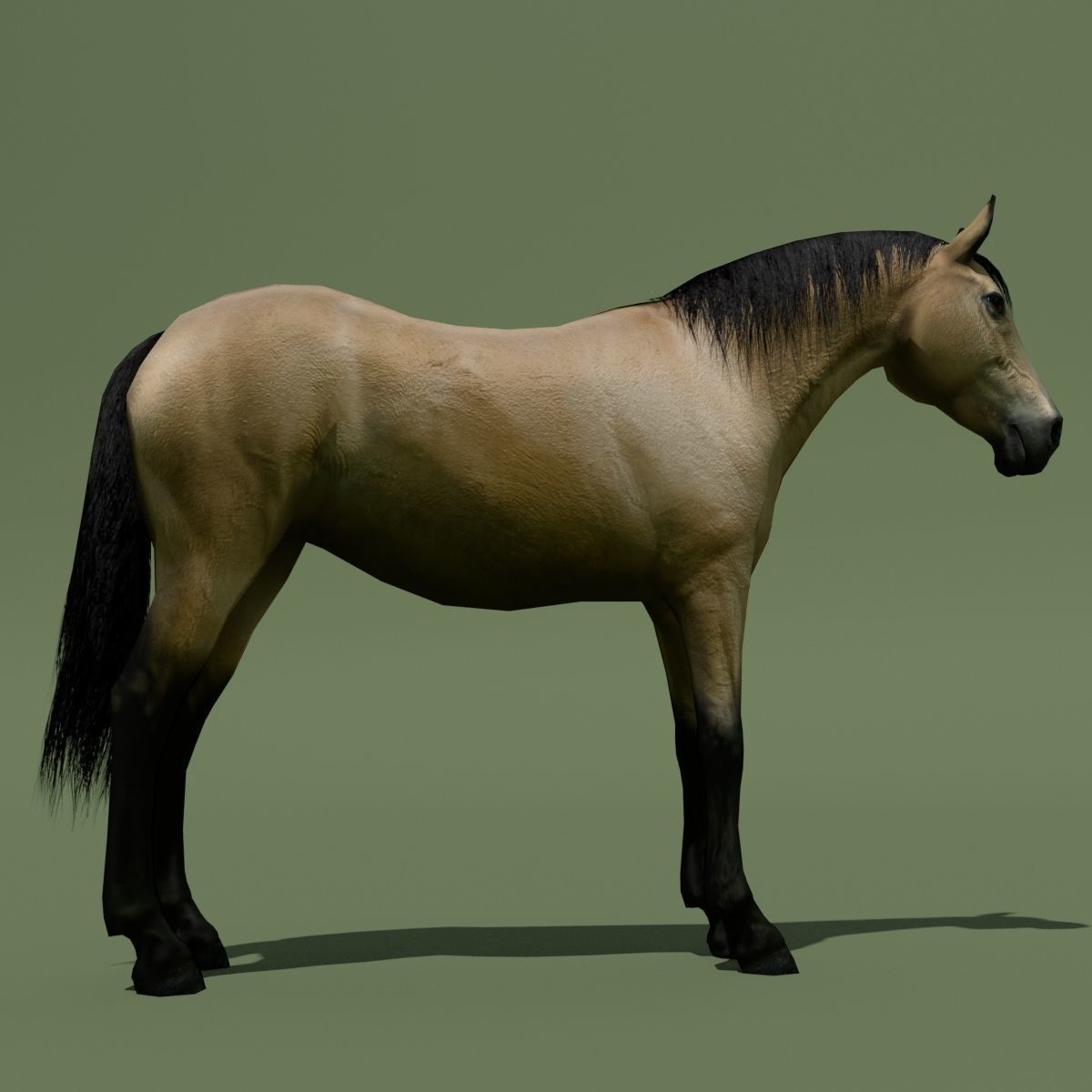 LowPoly Horses 10 colours Low-poly 3D model_60