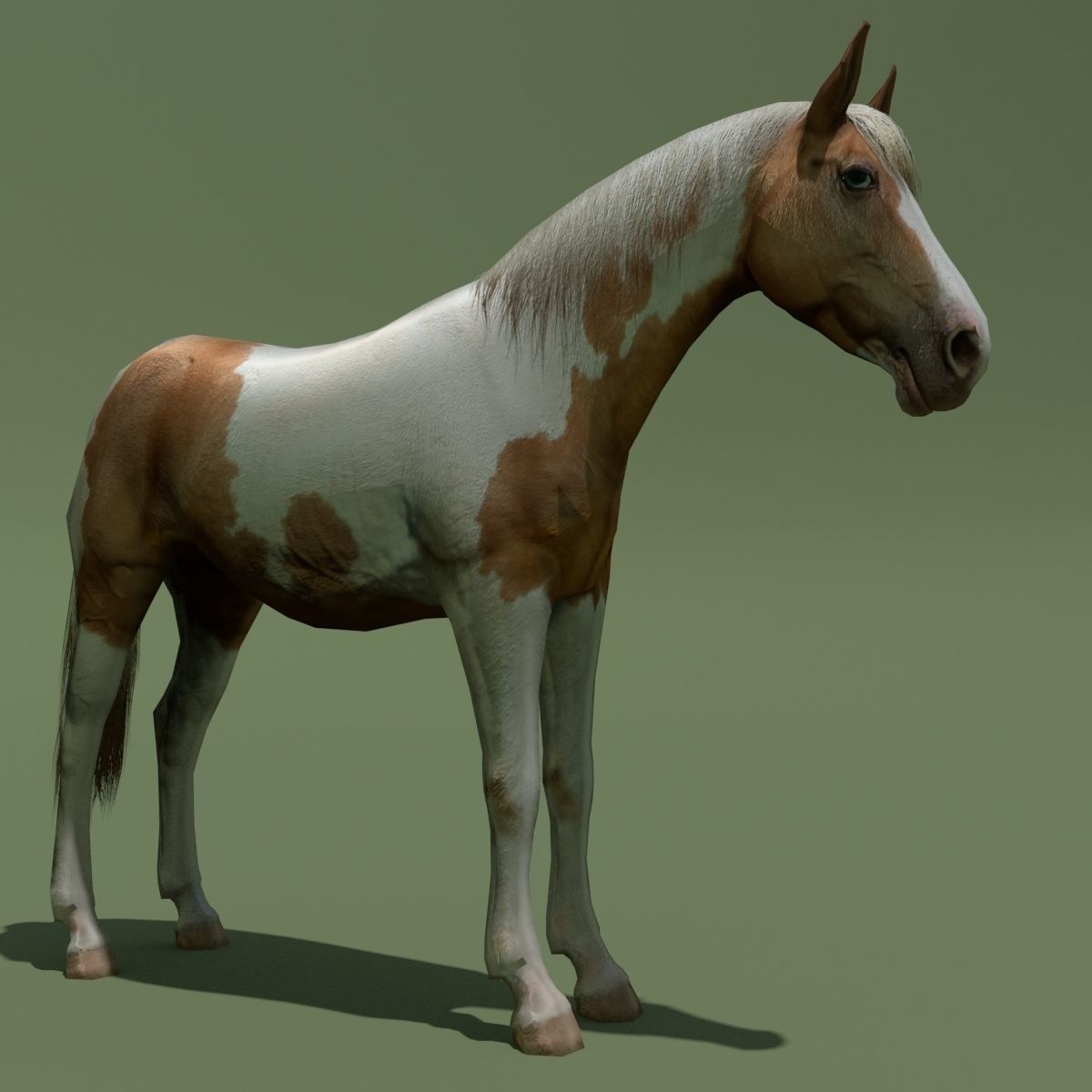 LowPoly Horses 10 colours Low-poly 3D model_89