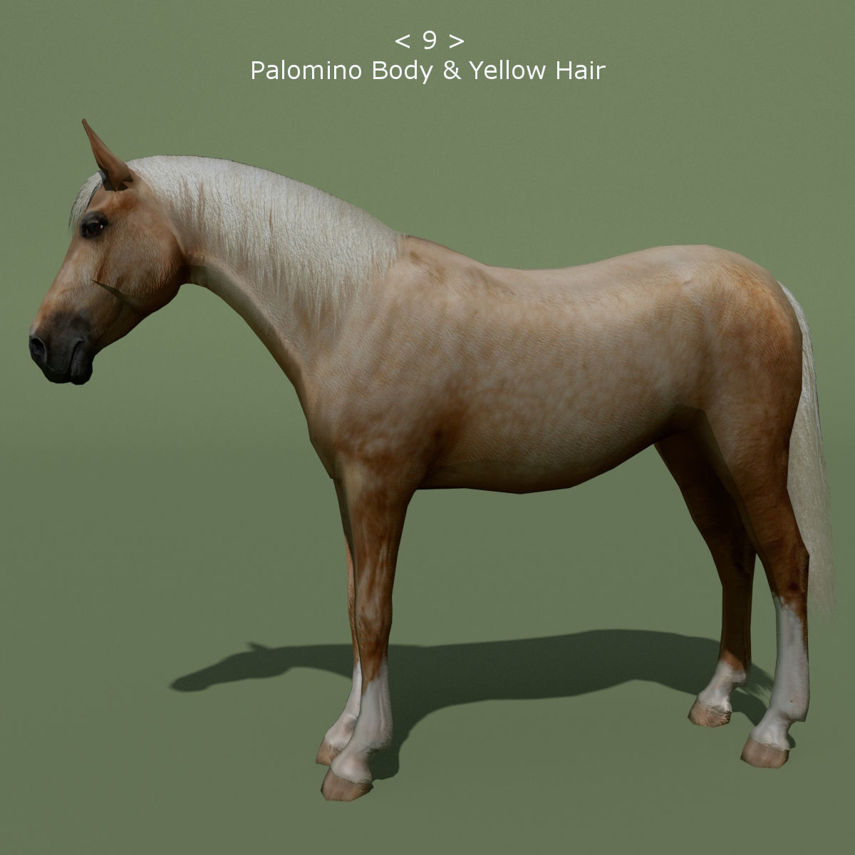 LowPoly Horses 10 colours Low-poly 3D model_9