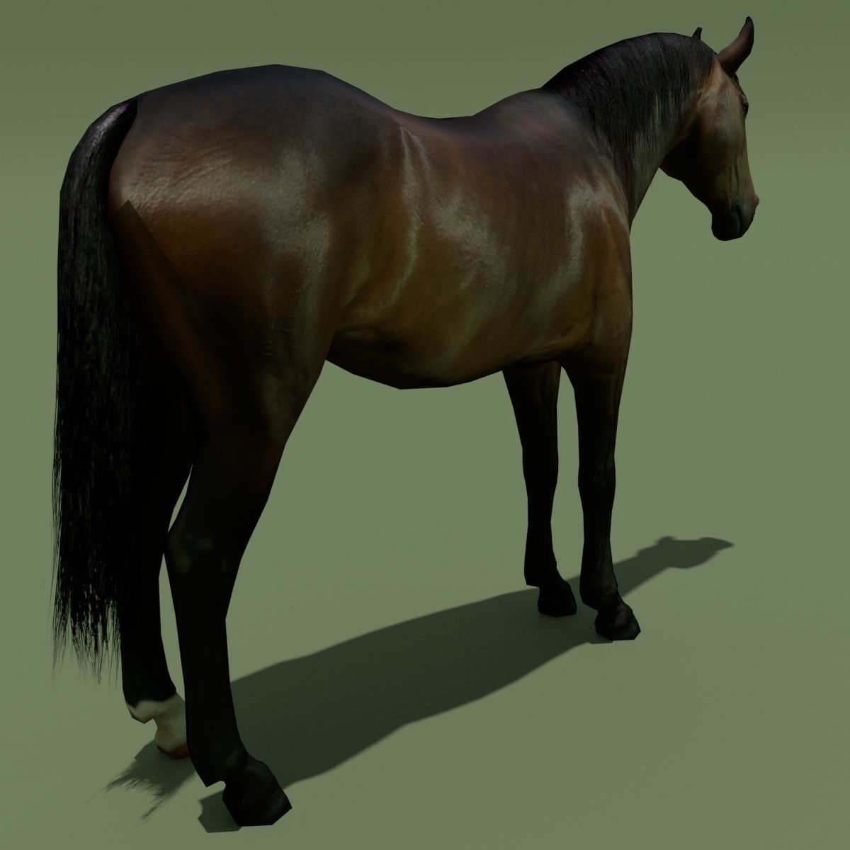 LowPoly Horses 10 colours Low-poly 3D model_31