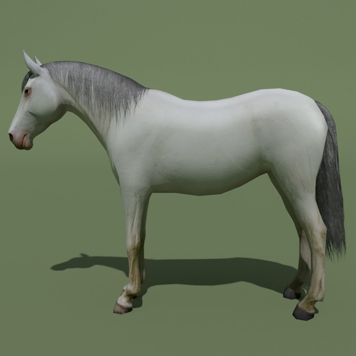 LowPoly Horses 10 colours Low-poly 3D model_63