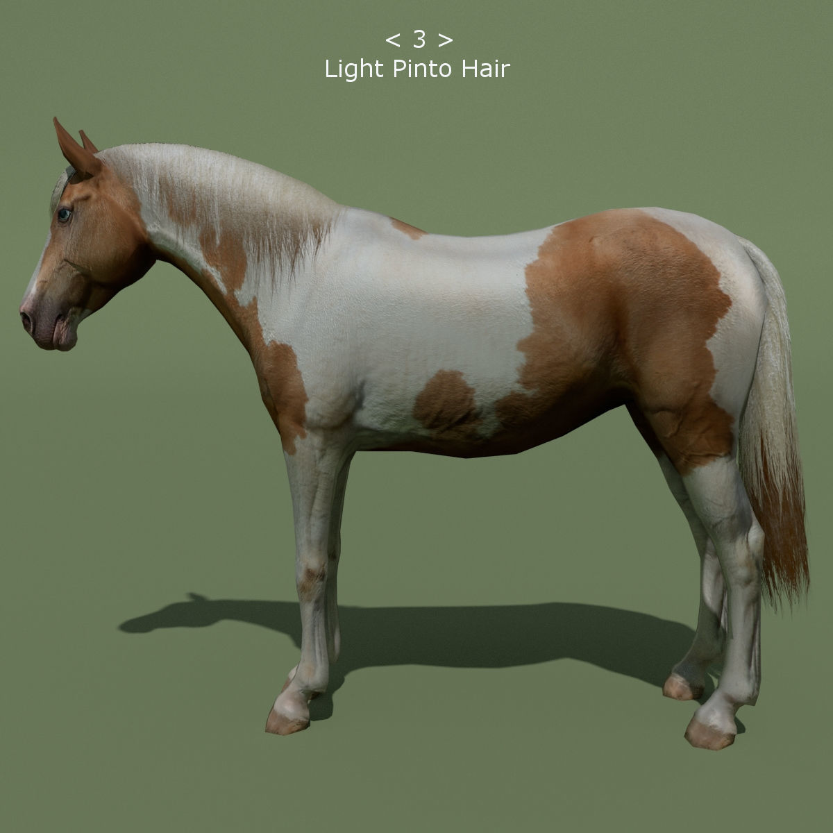 LowPoly Horses 10 colours Low-poly 3D model_14