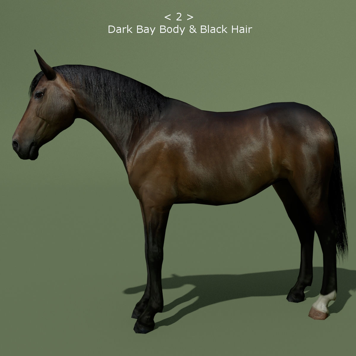 LowPoly Horses 10 colours Low-poly 3D model_2