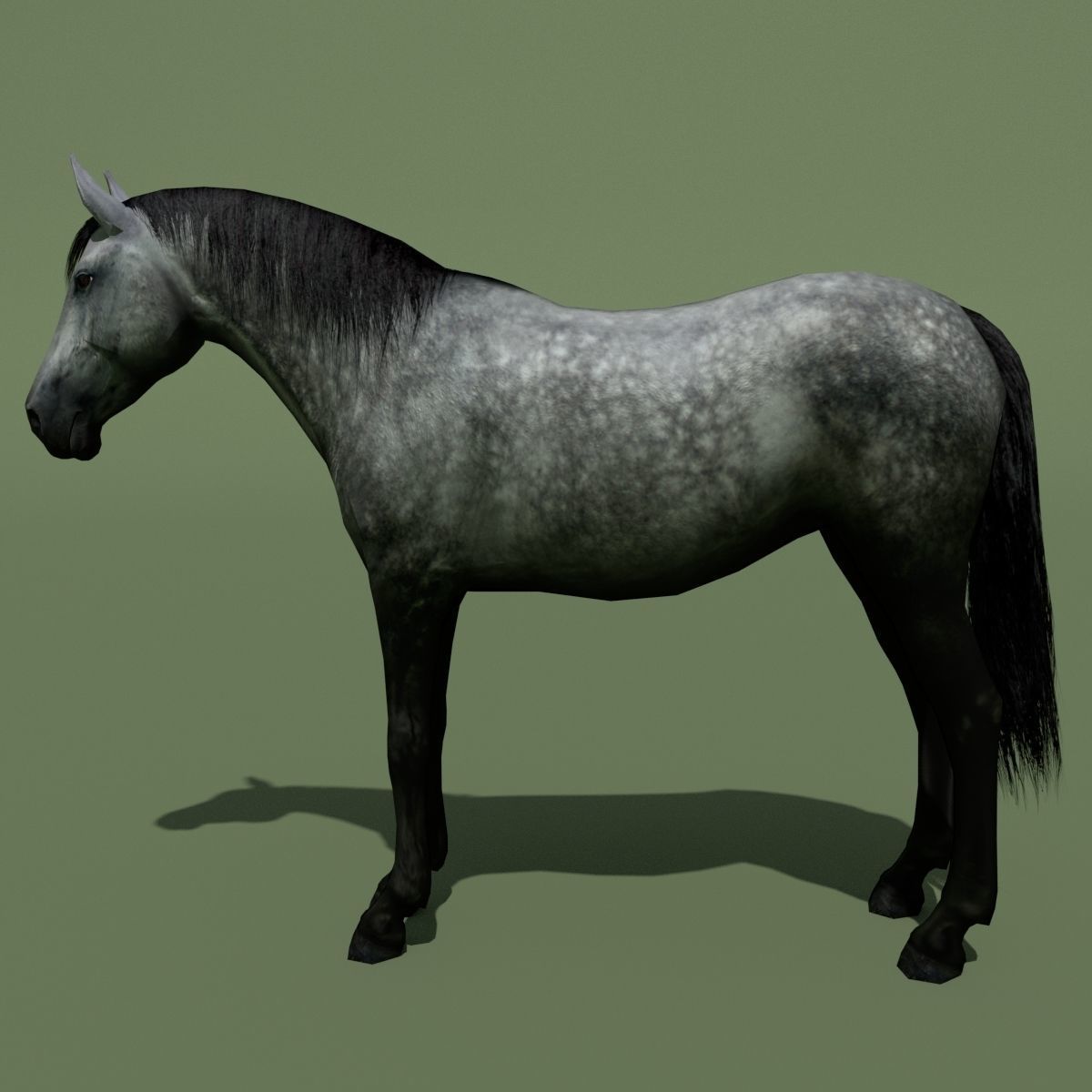 LowPoly Horses 10 colours Low-poly 3D model_49