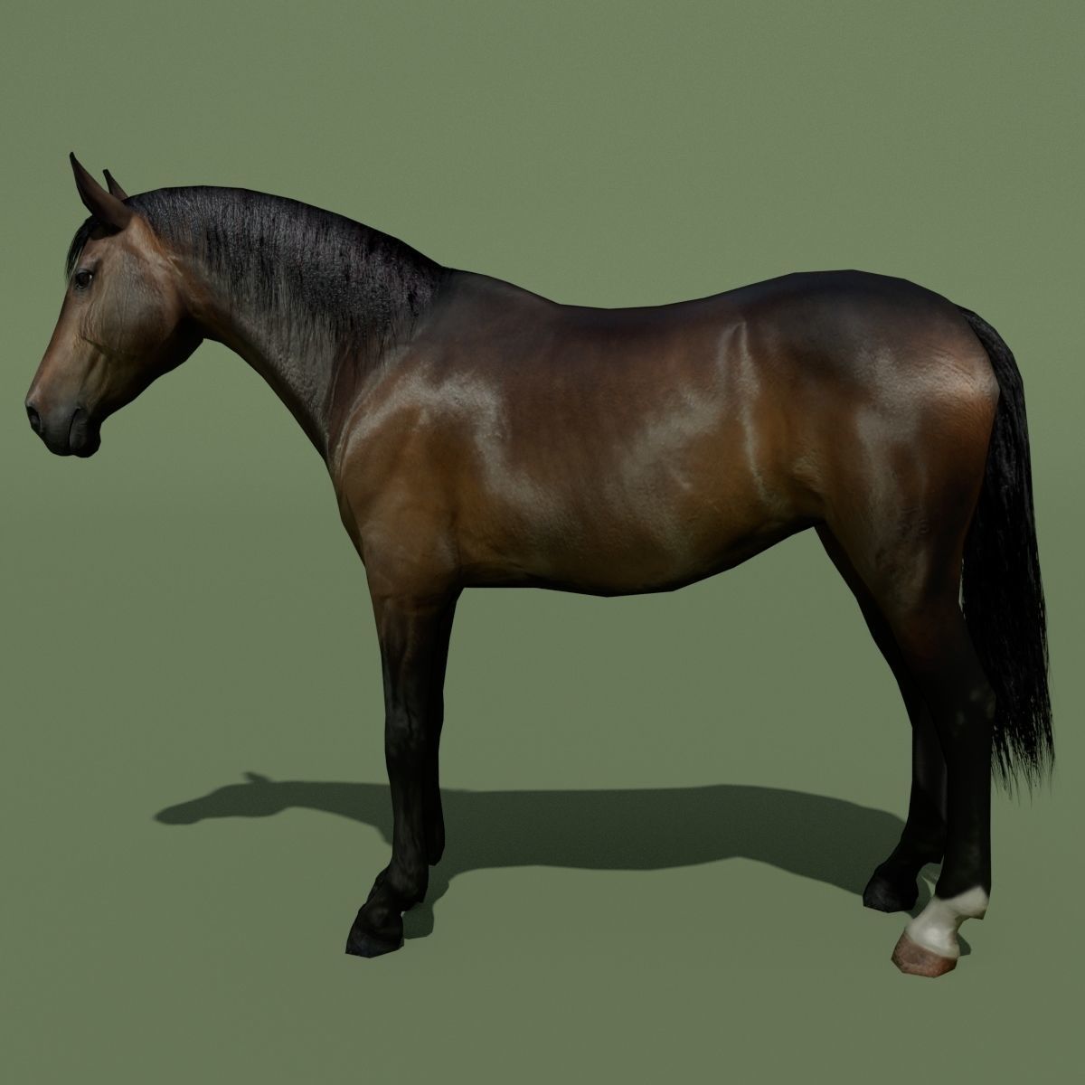 LowPoly Horses 10 colours Low-poly 3D model_28