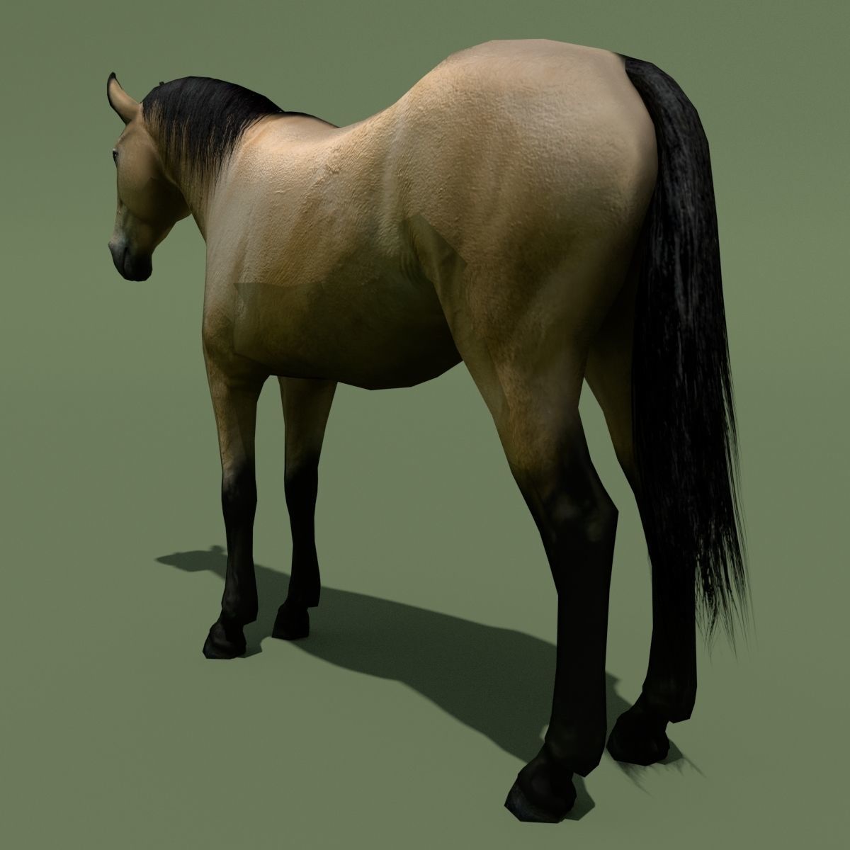 LowPoly Horses 10 colours Low-poly 3D model_57