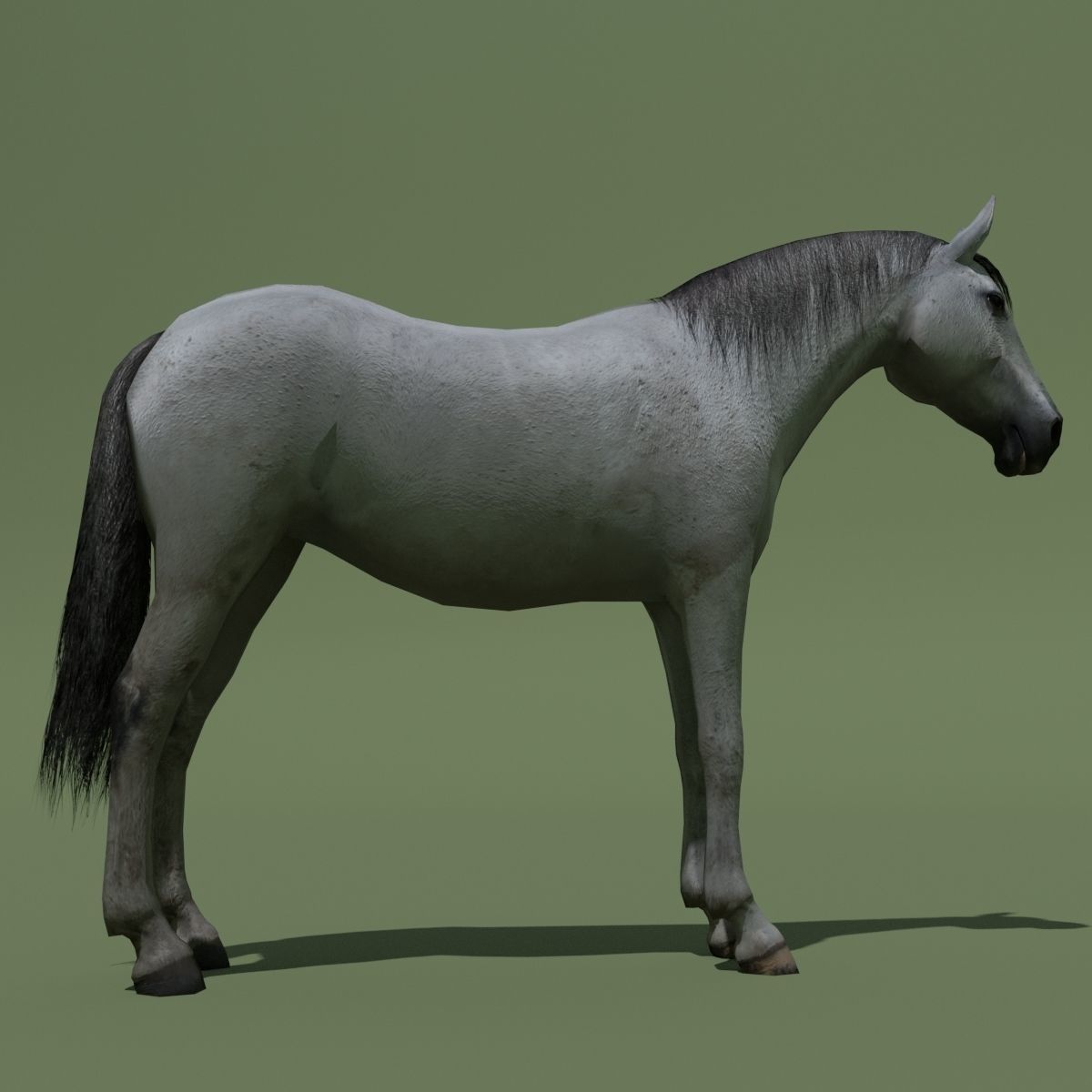 LowPoly Horses 10 colours Low-poly 3D model_39