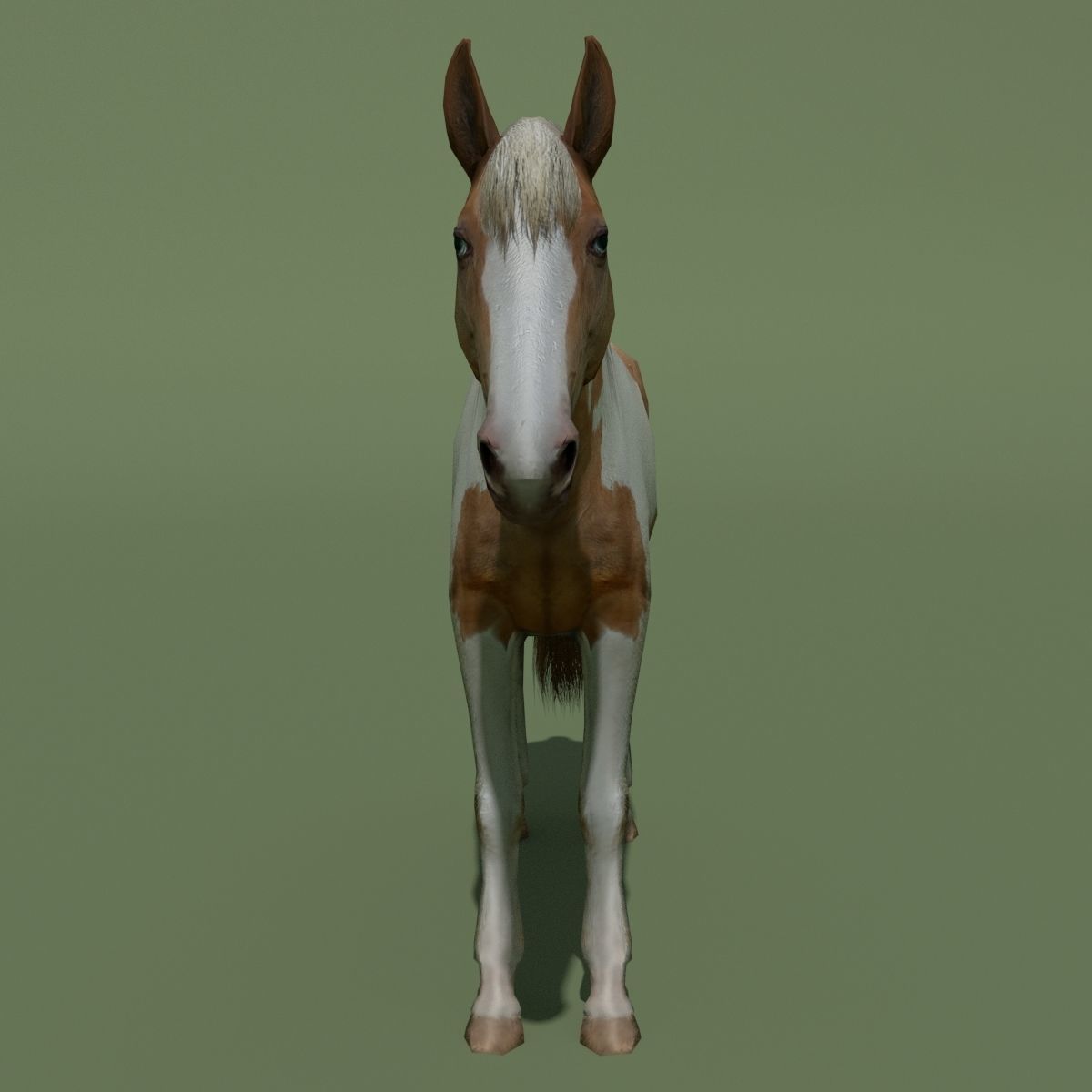 LowPoly Horses 10 colours Low-poly 3D model_90