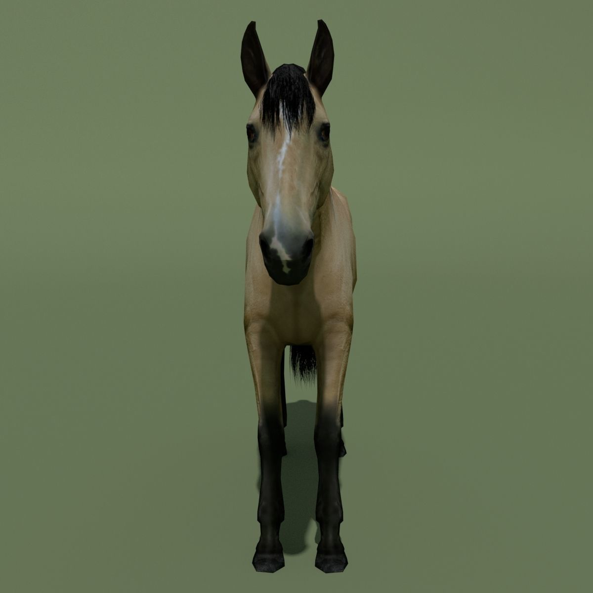 LowPoly Horses 10 colours Low-poly 3D model_62