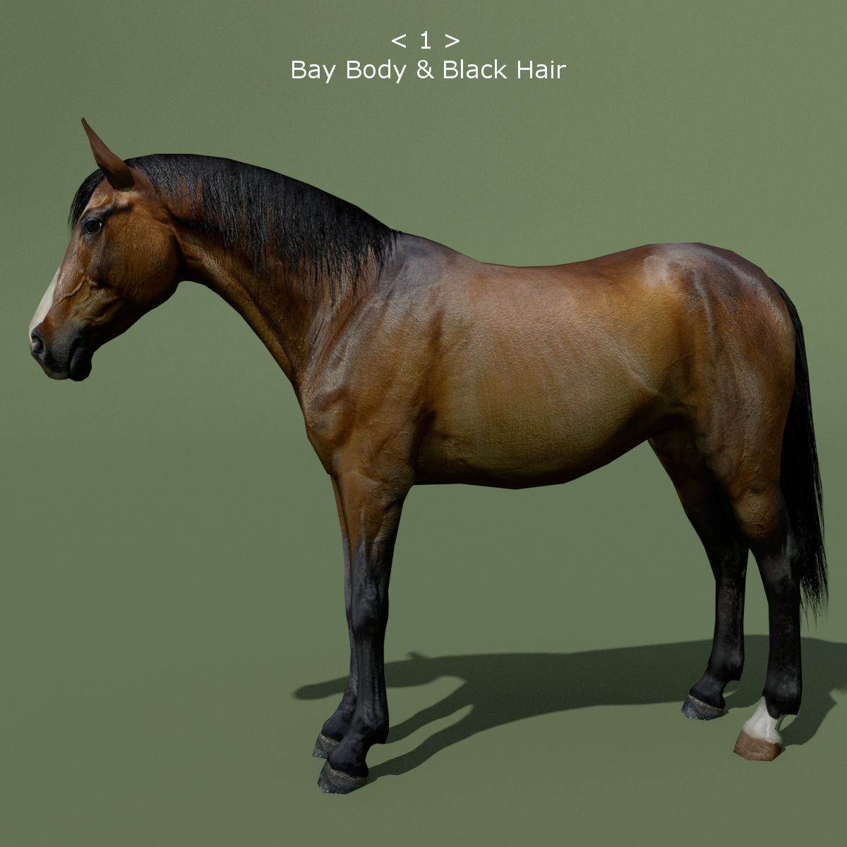 LowPoly Horses 10 colours Low-poly 3D model_1