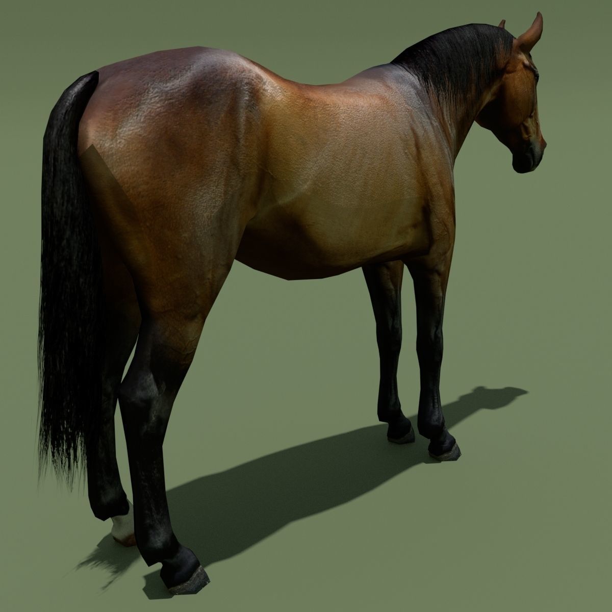 LowPoly Horses 10 colours Low-poly 3D model_24