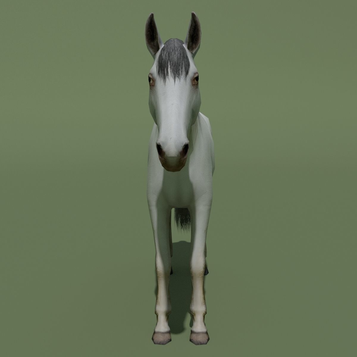 LowPoly Horses 10 colours Low-poly 3D model_69
