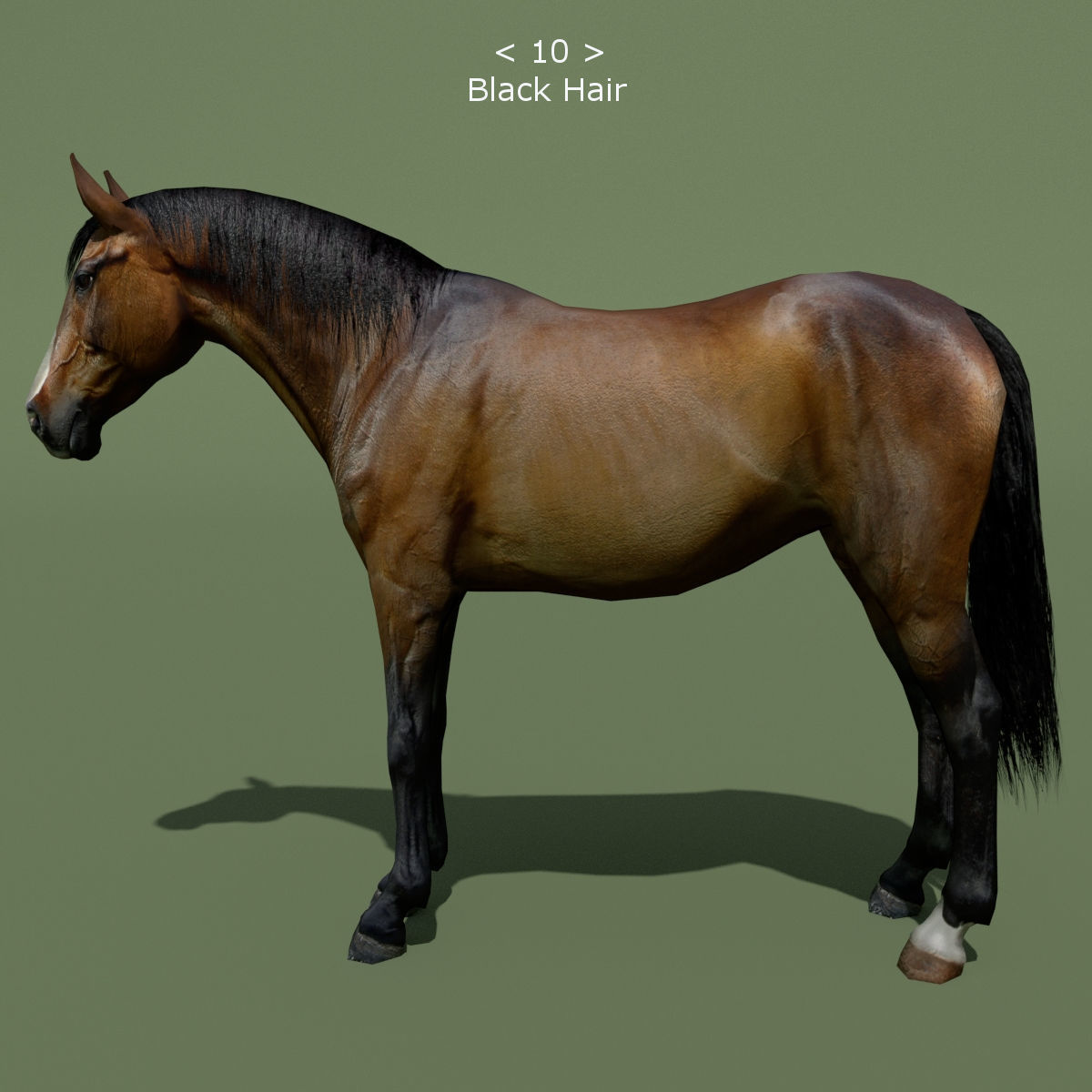 LowPoly Horses 10 colours Low-poly 3D model_21