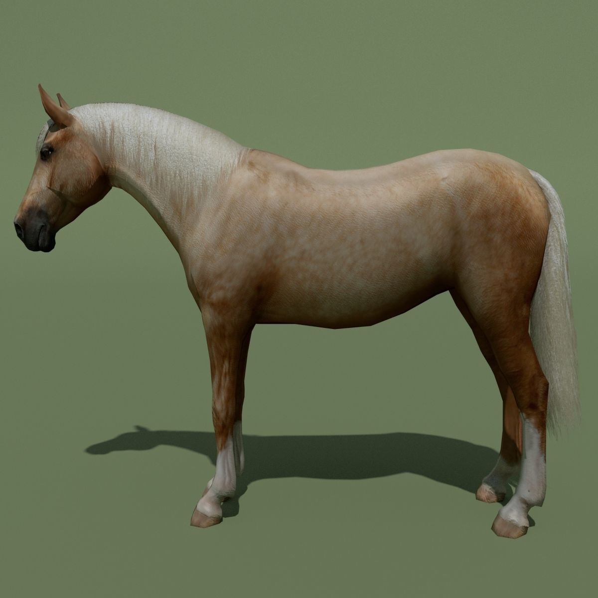 LowPoly Horses 10 colours Low-poly 3D model_77